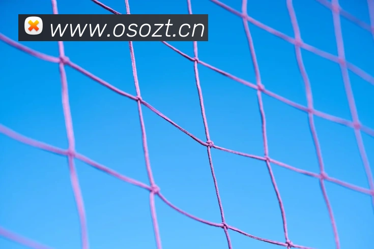 乐鱼官网网页版登录平台生态图