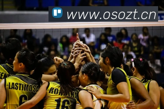 乐鱼官网网页版登录APP 封面图